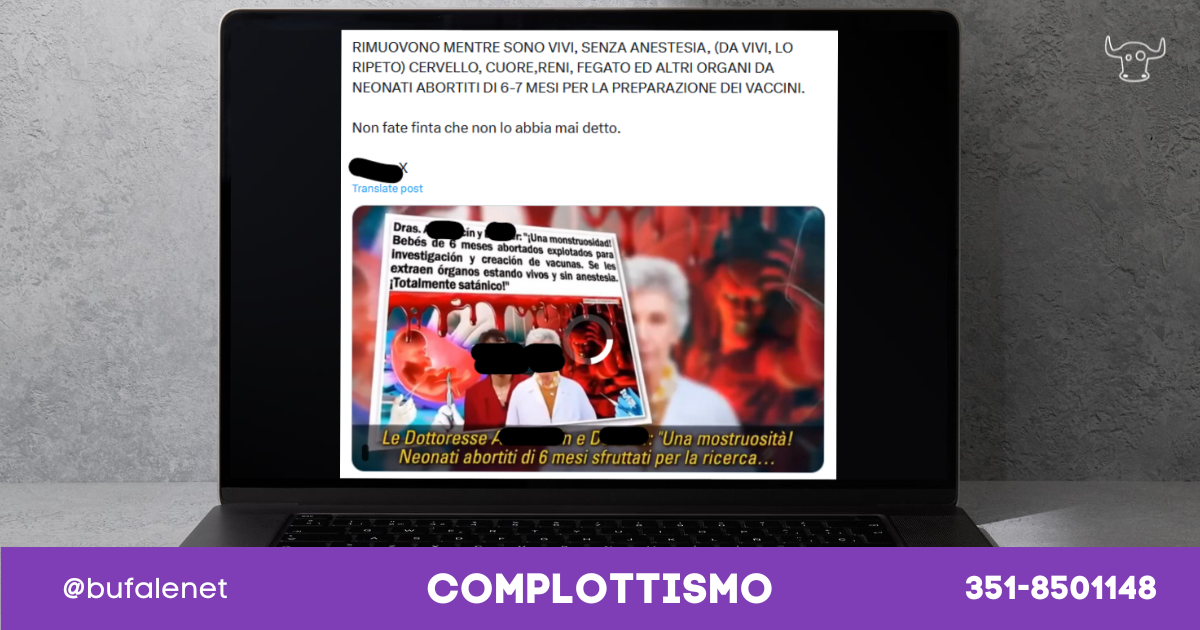 bufala sindaco di lonigo