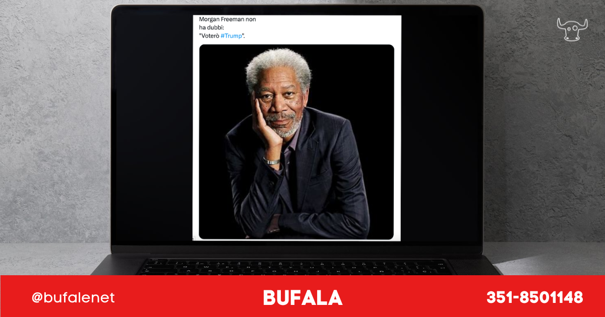 bufala sindaco di lonigo