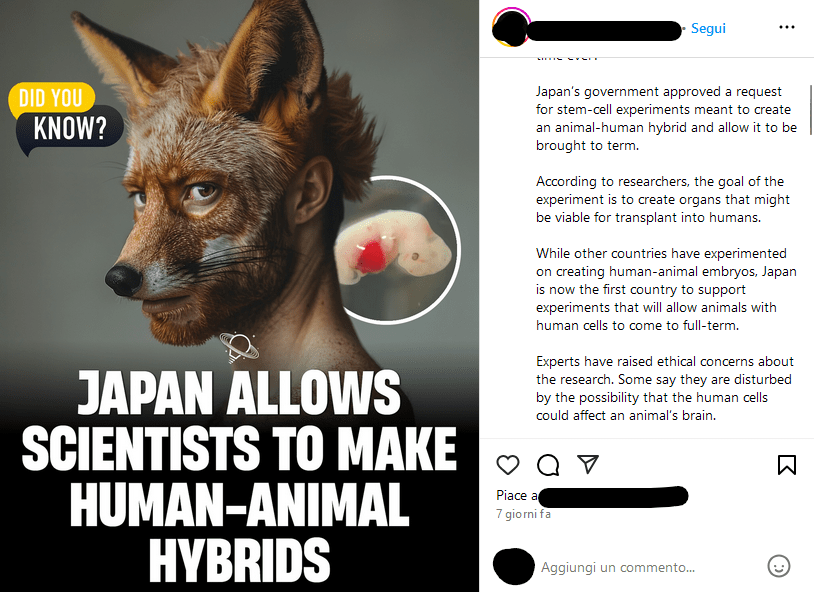 Il Giappone ha creato ibridi umani e animali per davvero?