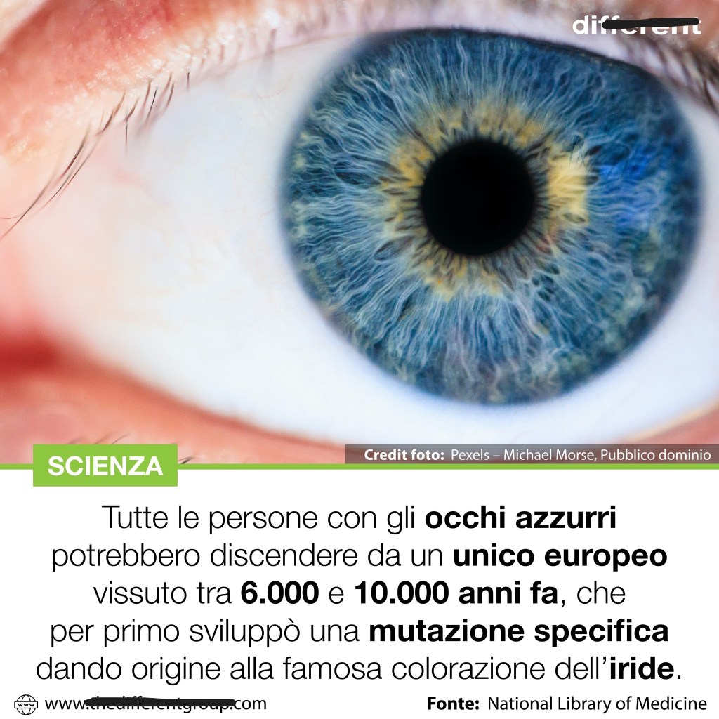 No, chi ha gli occhi azzurri non discende da una sola famiglia nel Mar Nero (o nei paesi nordici)