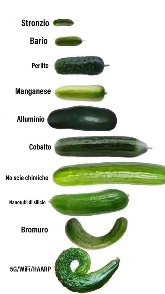 L'effetto del 5G sui cetrioli è un caso di satira