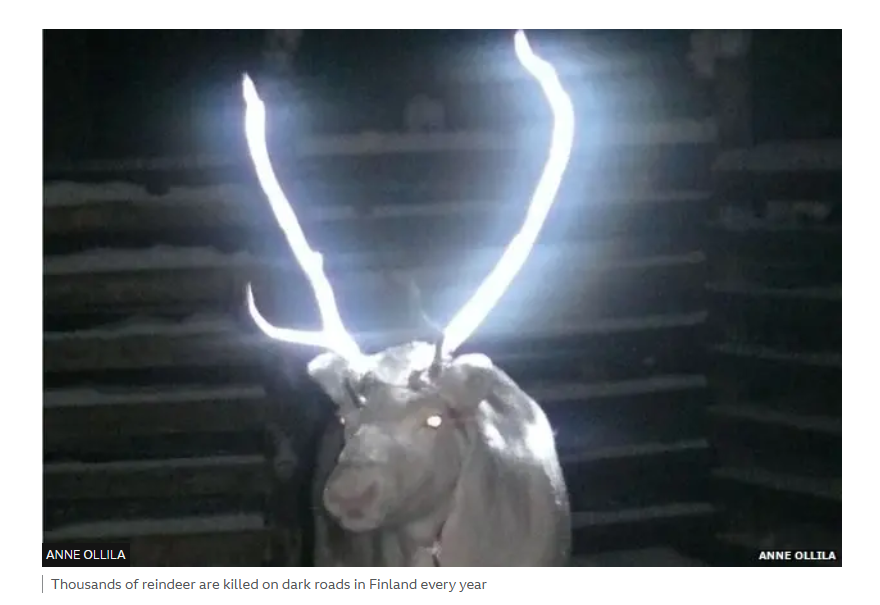 Foto reale del progetto, fonte BBC