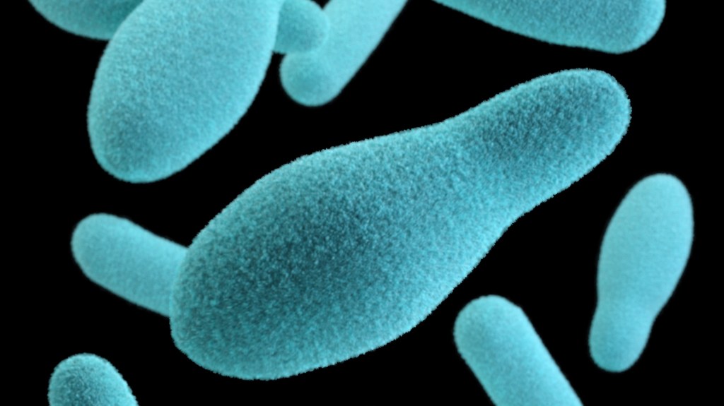 Clostridium Botulini, il botulino