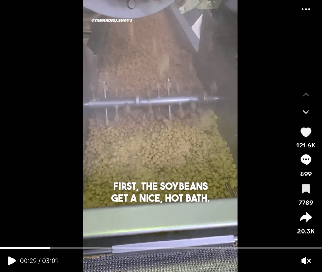 Sì, la salsa di soia tradizionale viene fatta così (e non c'è ragione di scandalizzarsi)