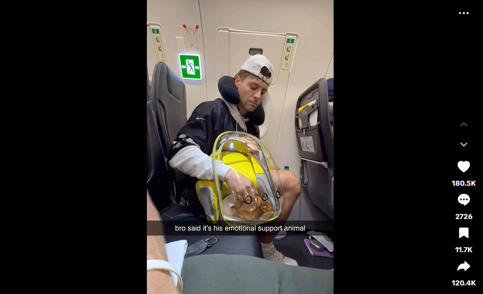 L'uomo il cui animale di supporto emotivo è un pollo arrosto è un comico