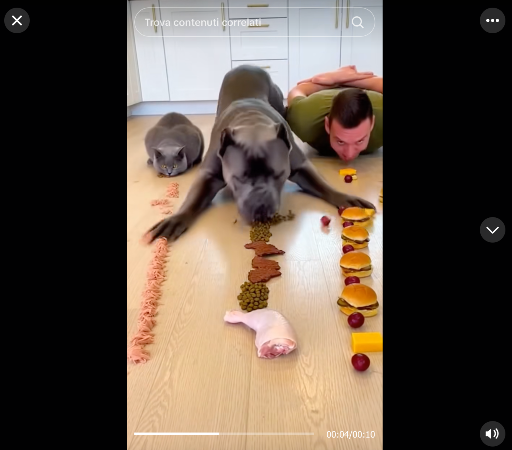 Goofus il cane mangione continua la saga dell'AI Slop