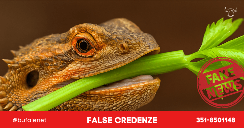 Il sedano è un alimento a calorie negative?