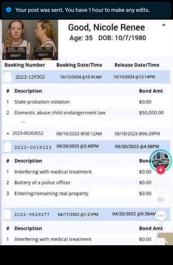 Integrale della finta fedina penale