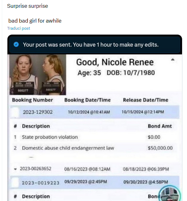 Account spunta blu su X inventa fedina penale sporca per Renee Good: sbaglia età e data di nascita