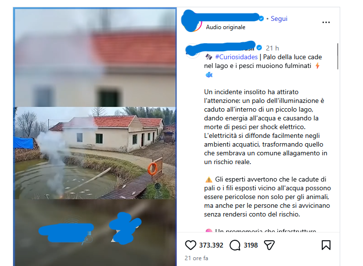 Il video brasiliano dei pesci uccisi da un palo della luce è fatto con AI