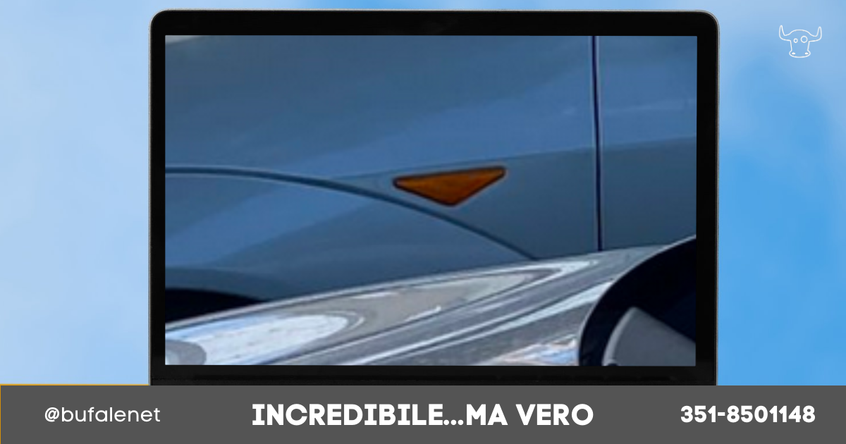 bufala sindaco di lonigo