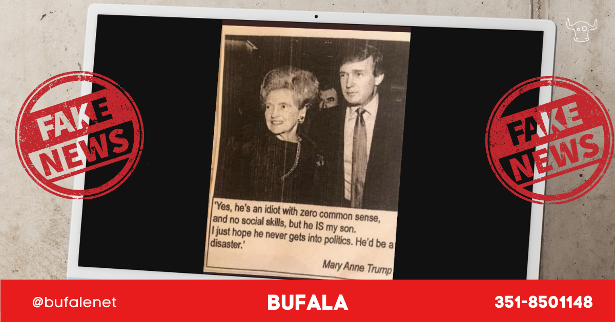 bufala sindaco di lonigo