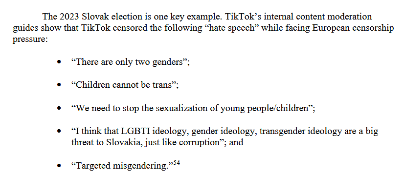 Estratto del testo secondo cui definire "l'ideologia LGBT una minaccia pari al terrorismo ed alla corruzione" è un contenuto ammesso