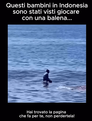 Il fotoromanzo social dei bambini che giocano con la balena è molto più inquietante di quanto sembri