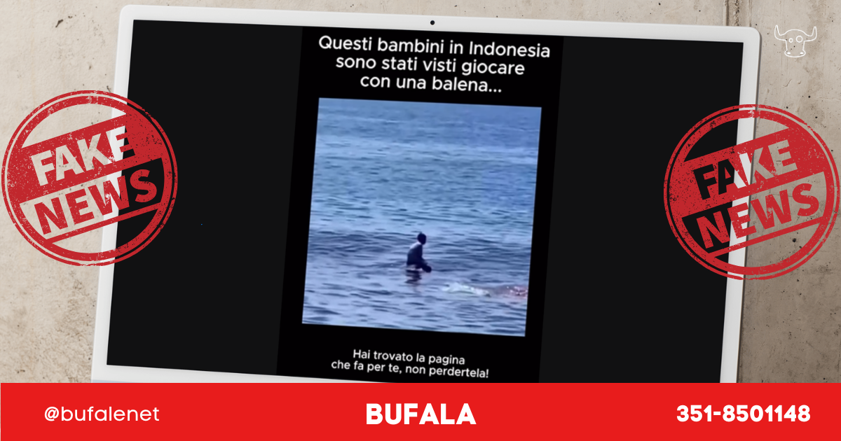 bufala sindaco di lonigo